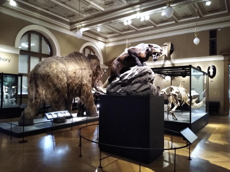 Nrodn muzeum 30