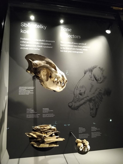 Nrodn muzeum 32