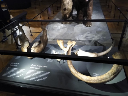 Nrodn muzeum 34