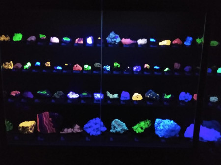 Nrodn muzeum 39