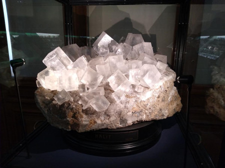 Nrodn muzeum 43