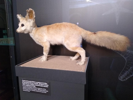 Nrodn muzeum 59