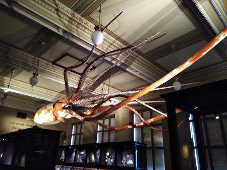 Nrodn muzeum 65
