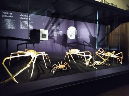 Nrodn muzeum 67