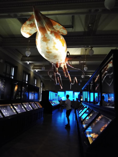 Nrodn muzeum 68