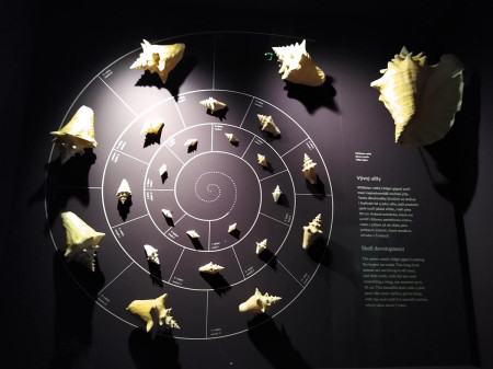 Nrodn muzeum 69