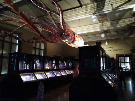 Nrodn muzeum 70
