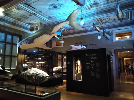Nrodn muzeum 73