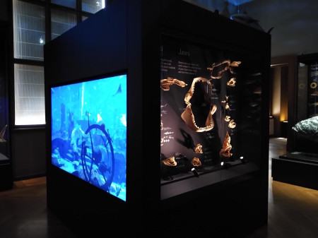 Nrodn muzeum 76