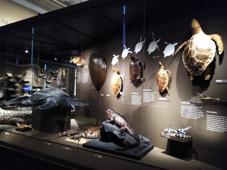 Nrodn muzeum 77