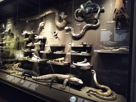 Nrodn muzeum 78