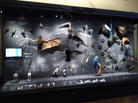 Nrodn muzeum 79