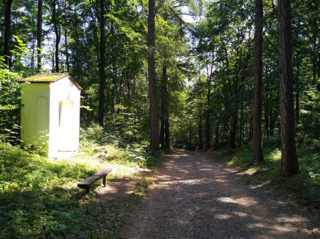 Pottejn 01