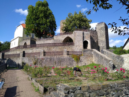 Svojanov 40