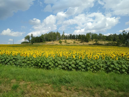 esk Rudolec 03