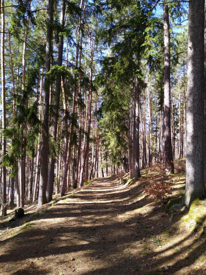Vimperk 09