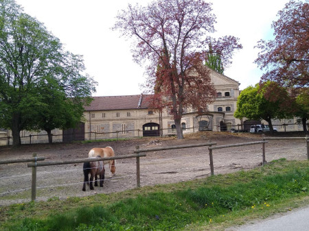 Stezka 2024-81